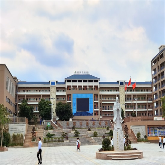 東莞市品華學校2